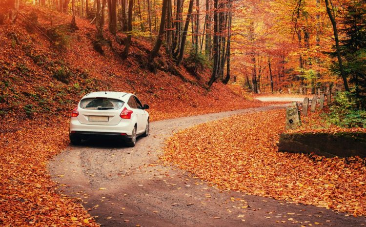  The Impact of Weather on Your Vehicle’s Performance: Tips to Keep It in Optimal Condition